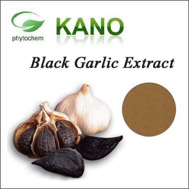 Pure Natural Black Gralic Extract 1__3_Polyphenols by UV
